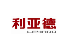 利亚德光电LED英文网站制作